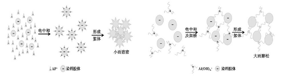 圖1 硫酸鋁與聚氯化鋁的絮凝機理圖